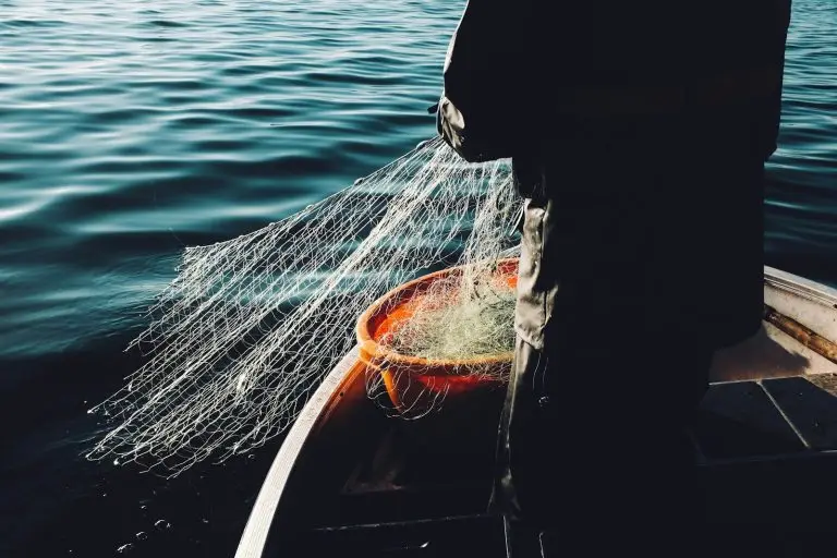 7 Factors That Drive (or Destroy) the Value of a Marine & Fishing Business