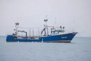 red and white ship on sea during daytime