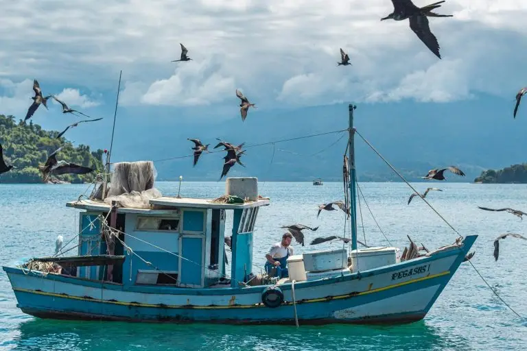 Selling a Marine & Fishing Business in Atlantic Canada: What Makes It Different
