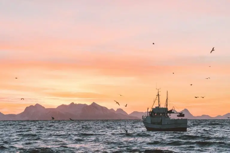 The Changing Landscape for Marine & Fishing Business Owners in Atlantic Canada
